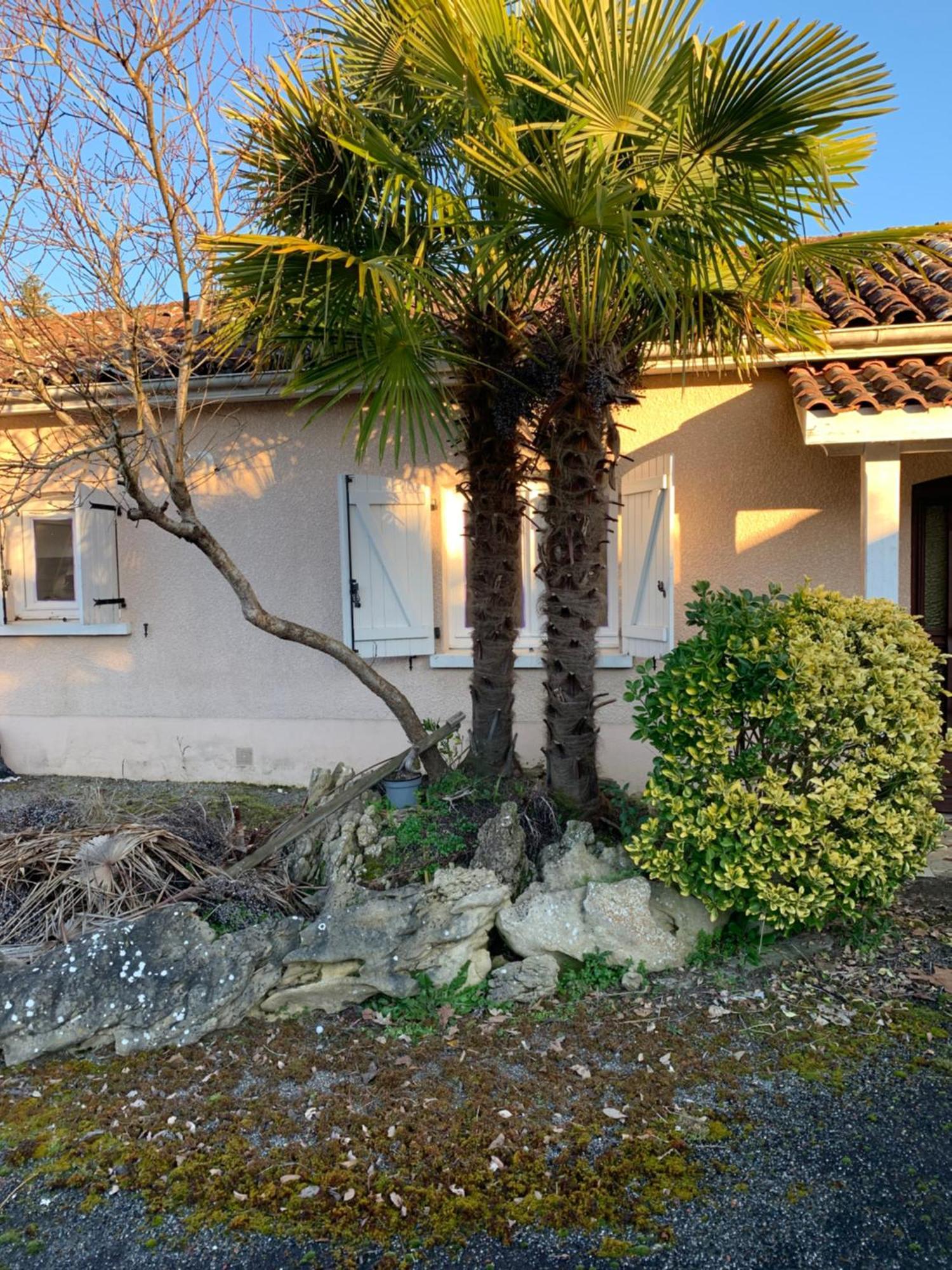 Petite Maison Dans Un Village Du Gers Sabazan Εξωτερικό φωτογραφία